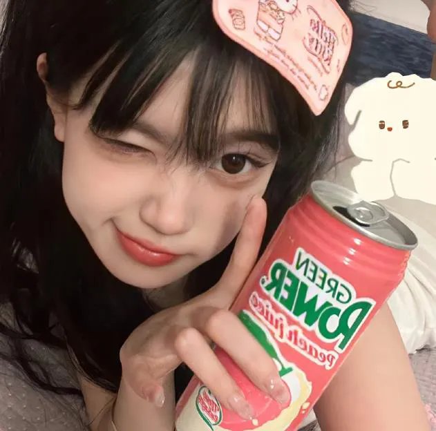 复仇歼敌记